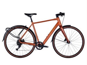 Raleigh Trace Electric Bike